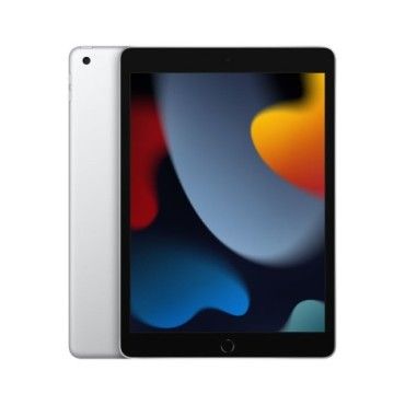 Apple iPad 256 GB 25,9 cm...
