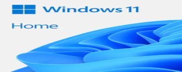 Microsoft Windows 11 Home 1 x licencja